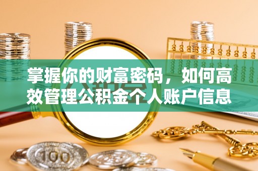 沈北新区掌握你的财富密码，如何高效管理公积金个人账户信息