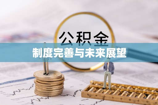 沈北新区制度完善与未来展望