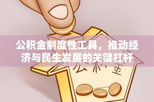 沈北新区公积金制度性工具，推动经济与民生发展的关键杠杆