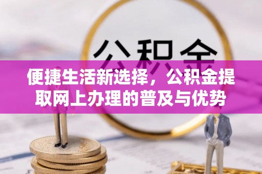 沈北新区便捷生活新选择，公积金提取网上办理的普及与优势